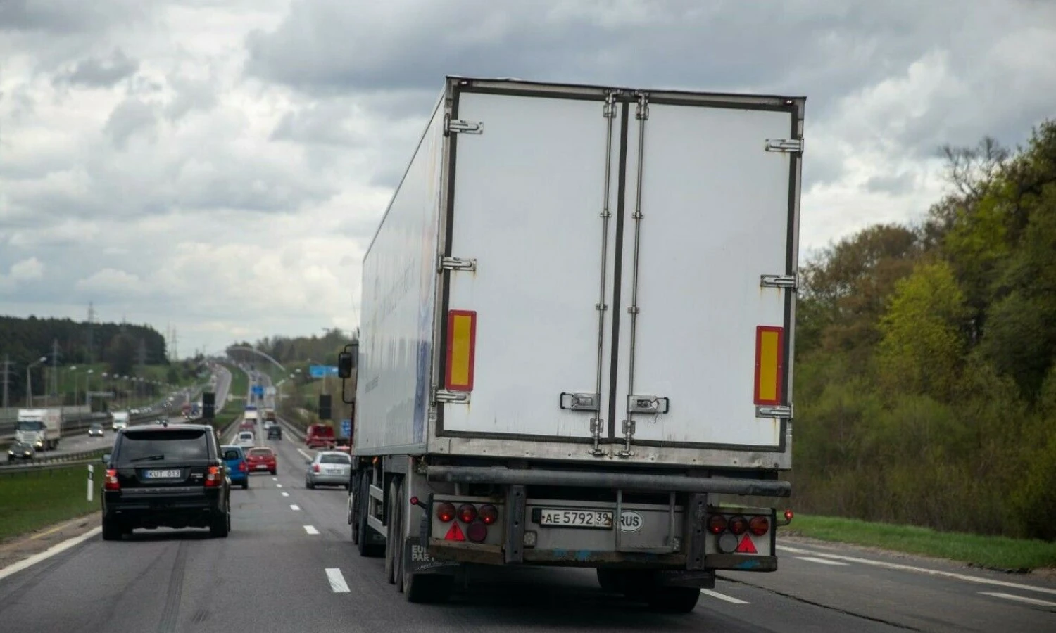Vilkikas kelyje. Vladimiro Ivanovo (VŽ) nuotr.