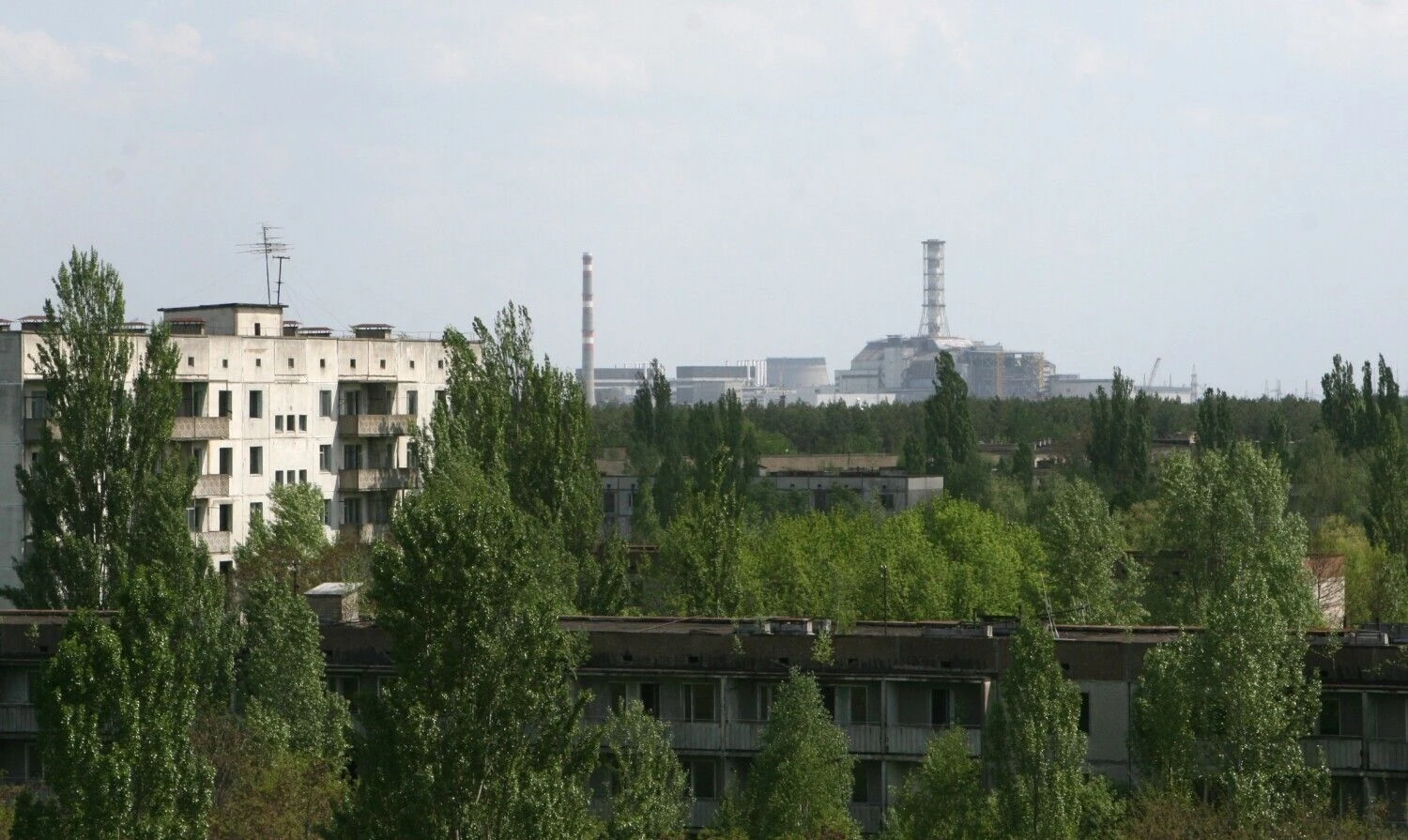 Gintauto Degučio nuotr.