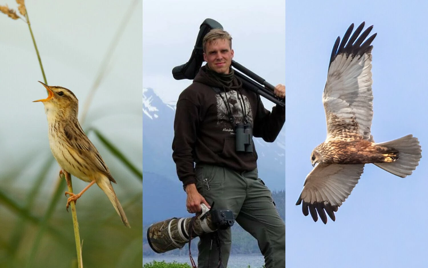 Marius Karlonas, UAB „Orinitostogos“ įkūrėjas. VŽ koliažas.