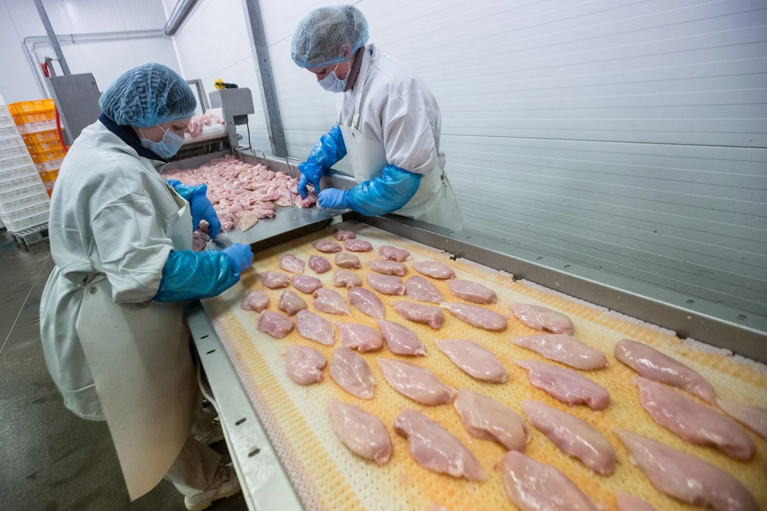 Juditos Grigelytės (VŽ) nuotr. 