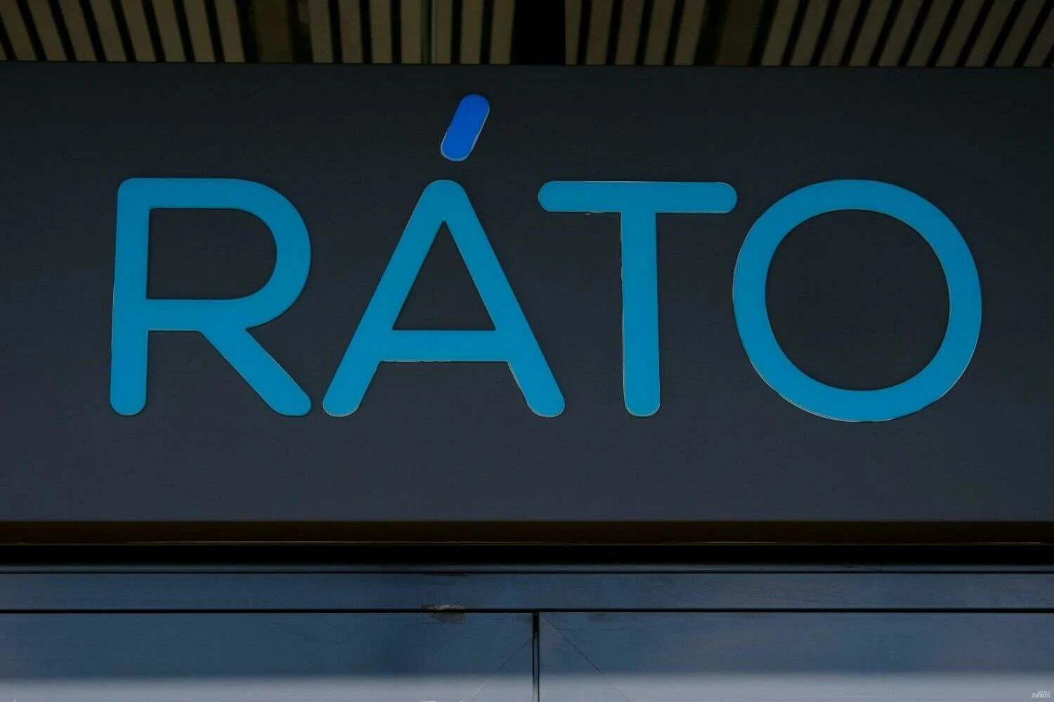 Vladimiro Ivanovo (VŽ) nuotr.