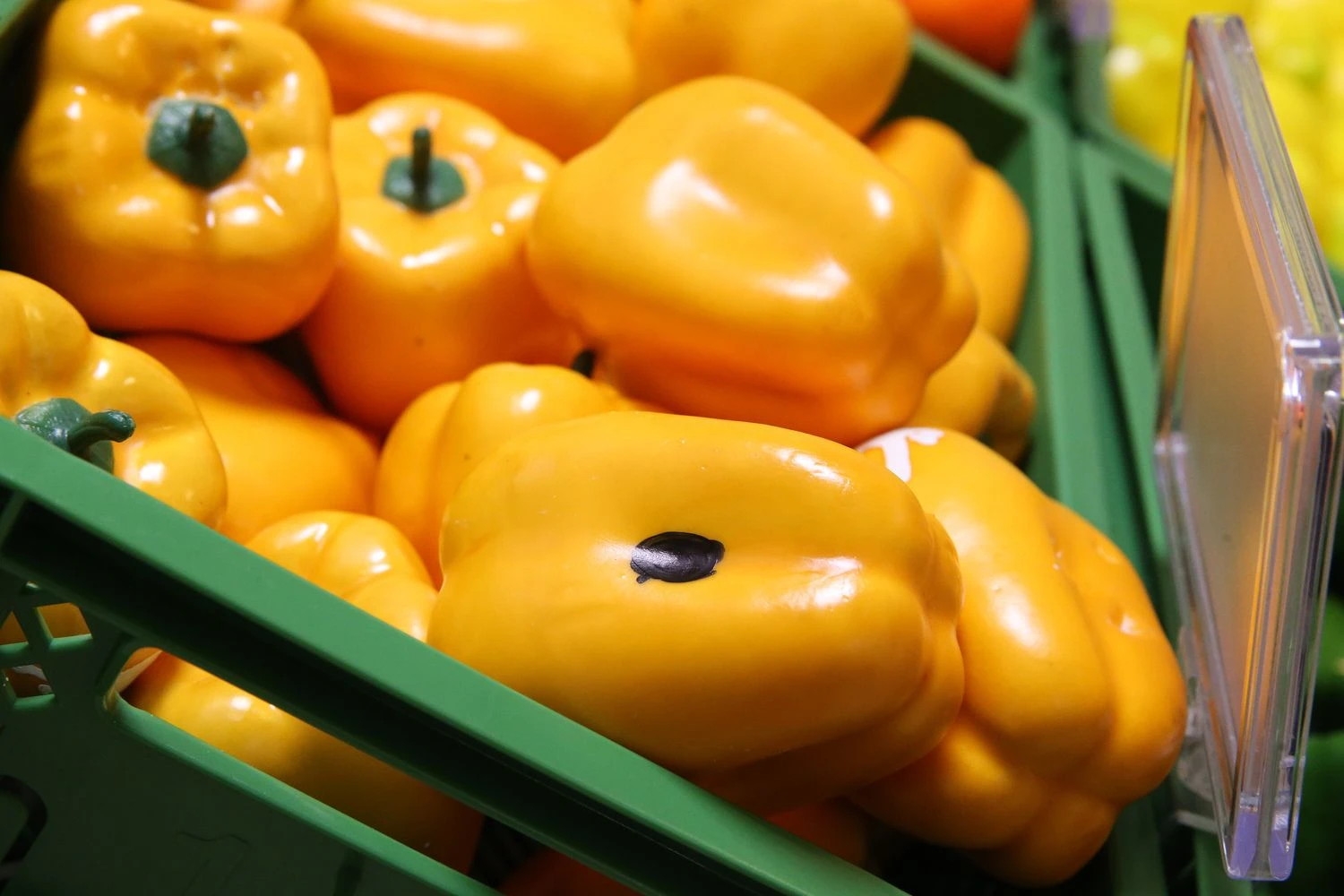 Vladimiro Ivanovo (VŽ) nuotr.