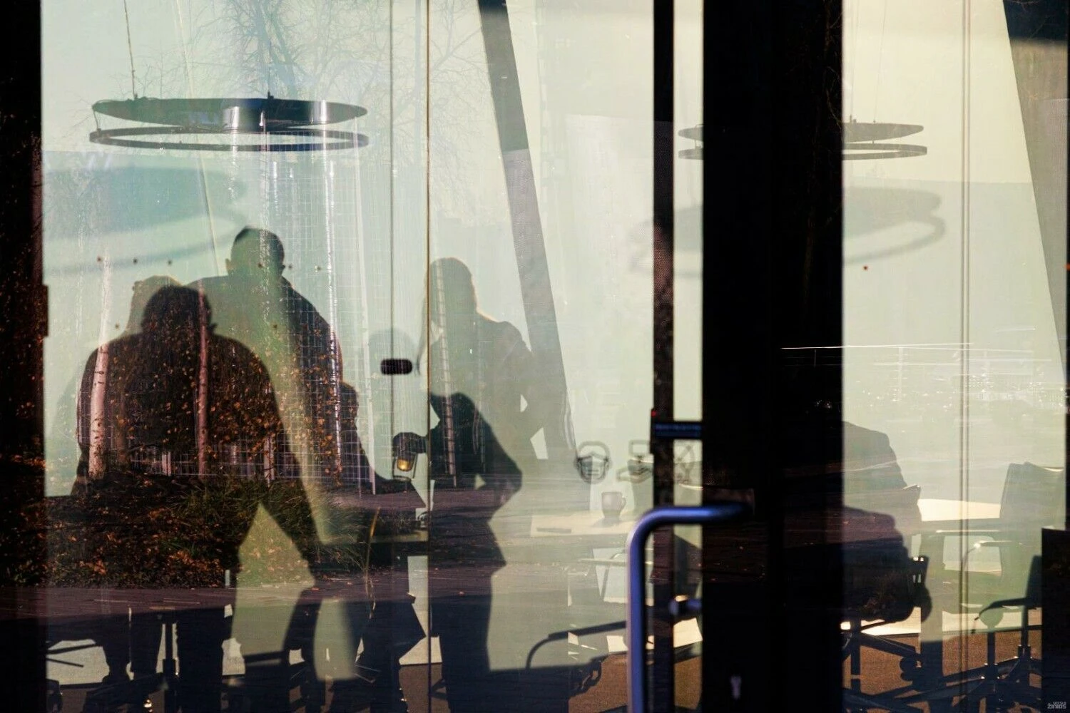 Vladimiro Ivanovo (VŽ) nuotr.