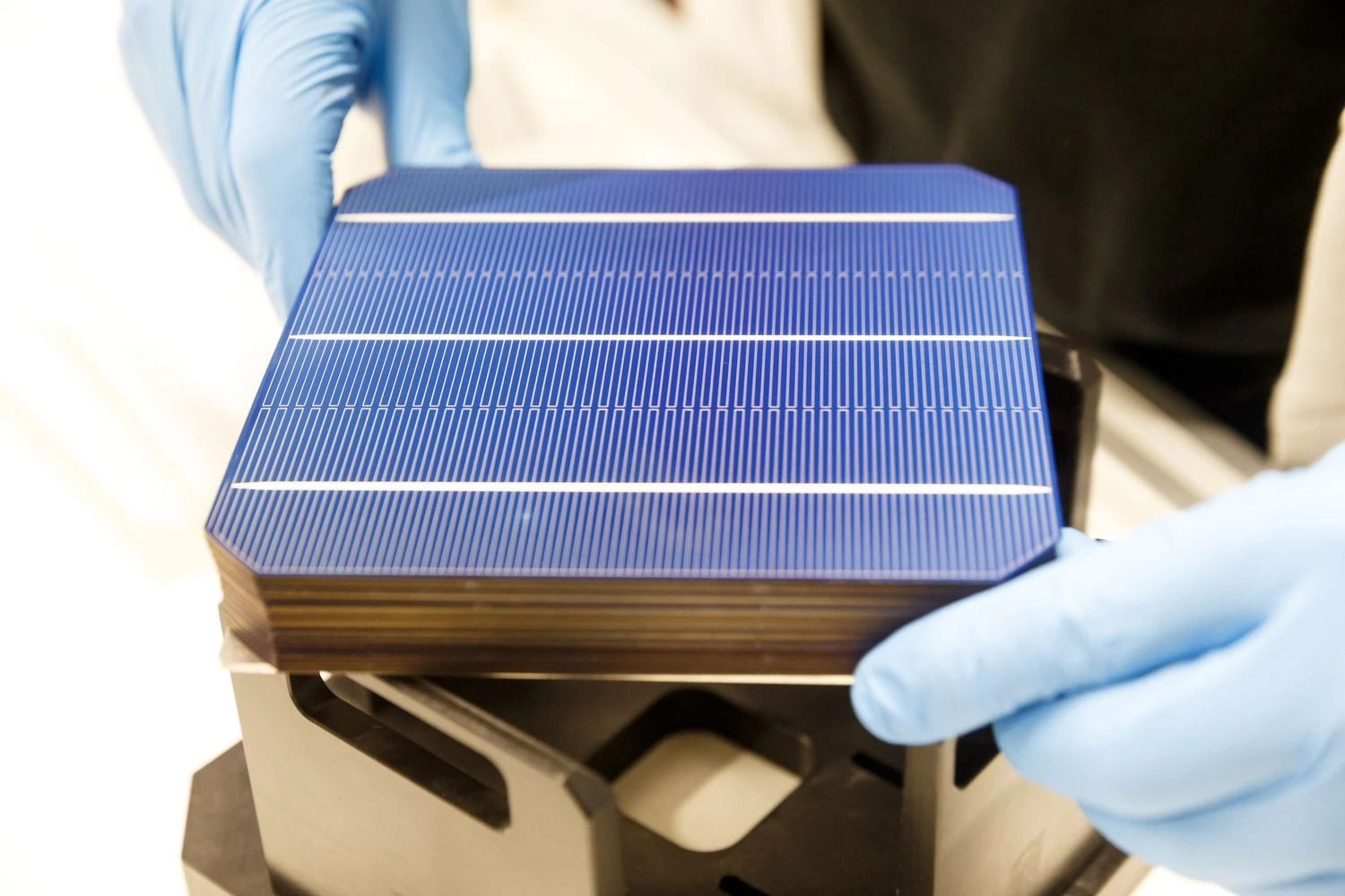 Vladimiro Ivanovo (VŽ) nuotr.