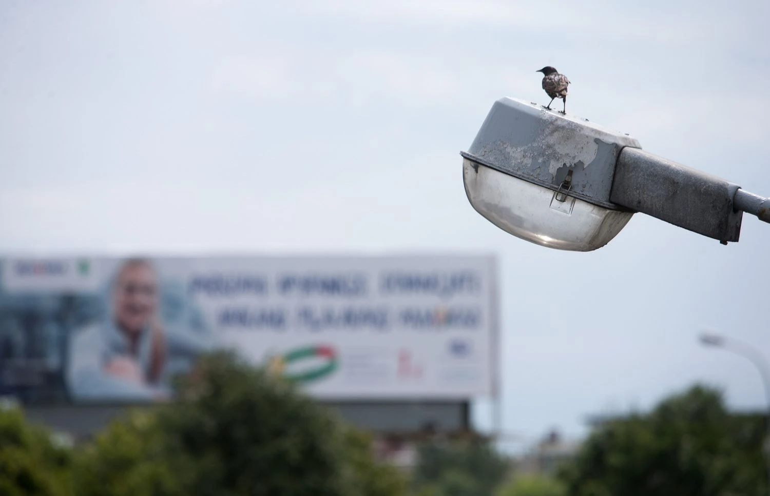 Juditos Grigelytės (VŽ) nuotr.