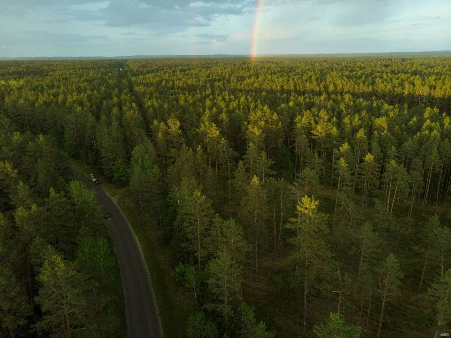 Vladimiro Ivanovo (VŽ) nuotr.