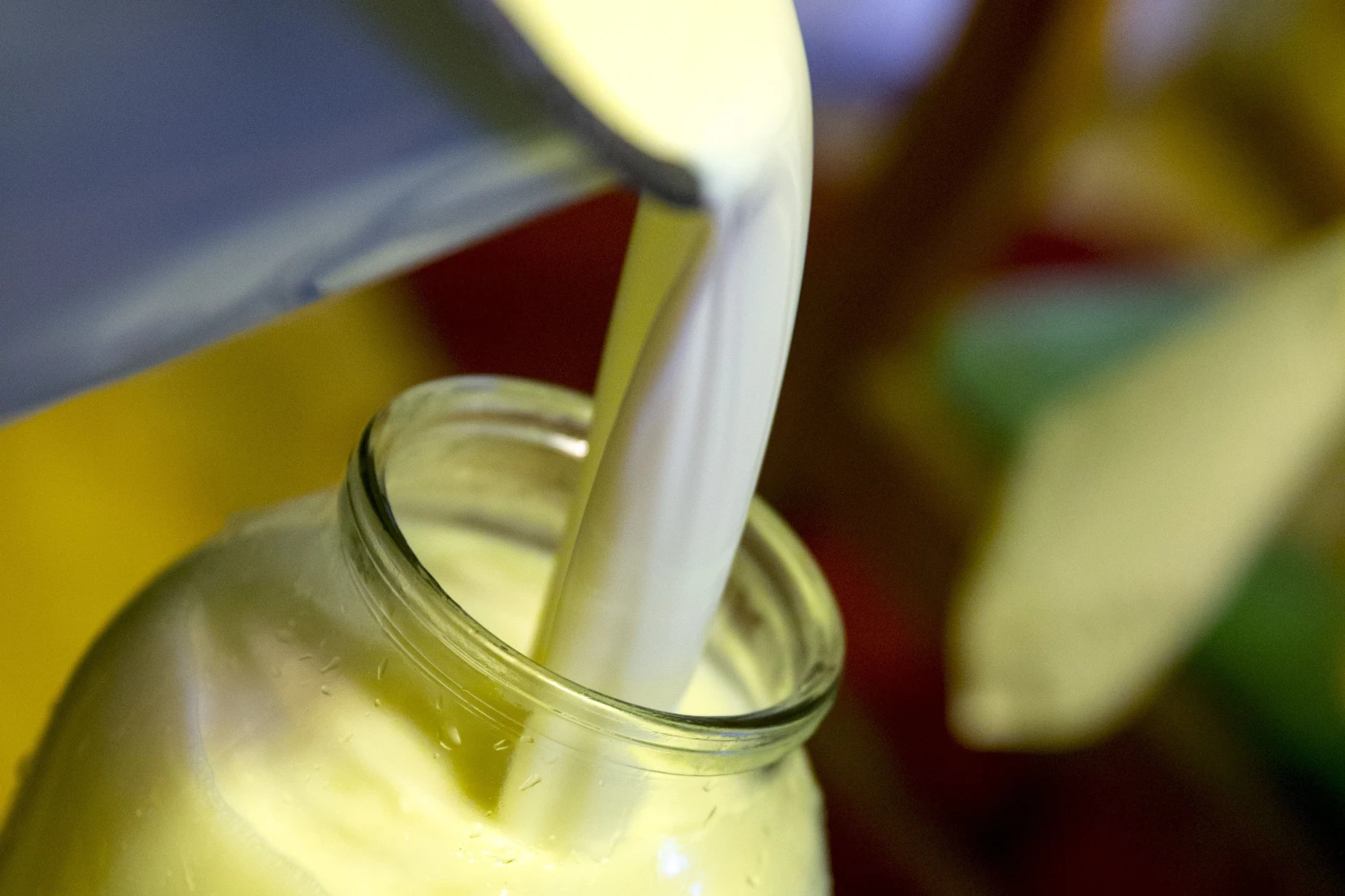 Per rugsėjo mėnesį vidutinė natūralaus pieno supirkimo kaina padidėjo 5,4 %. 2015 m. rugpjūtį ji buvo 190,8 Eur už t
Vladimiro Ivanovo (VŽ) nuotr.