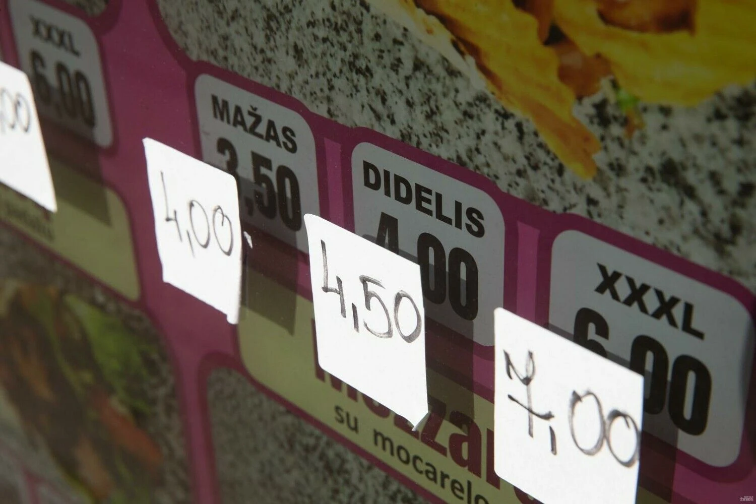 Vladimiro Ivanovo (VŽ) nuotr.