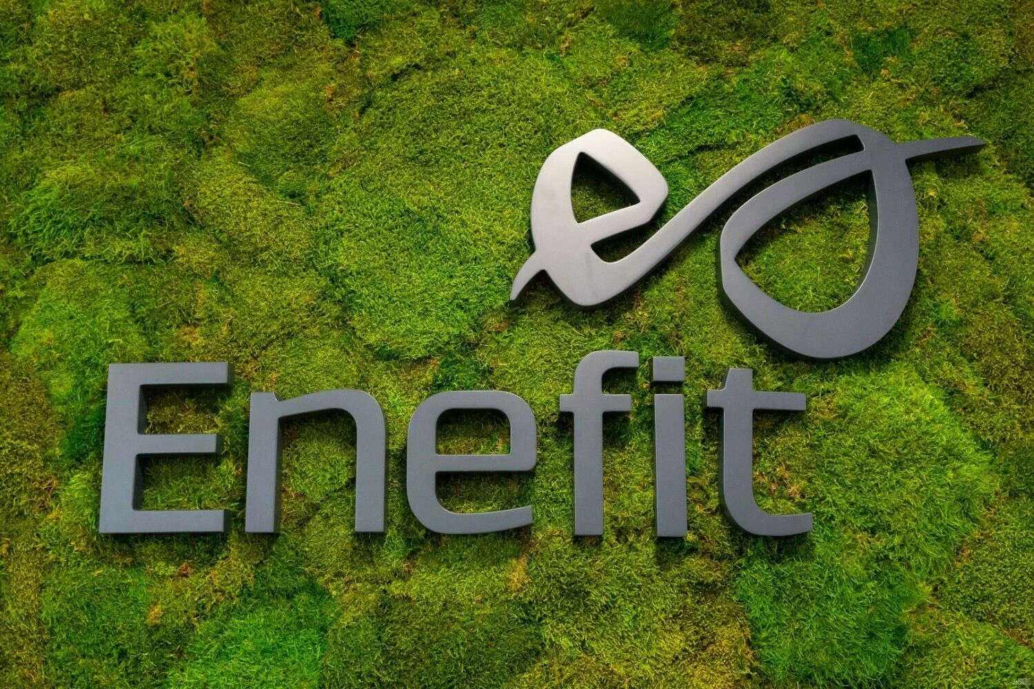 Juditos Grigelytės (VŽ) nuotr.