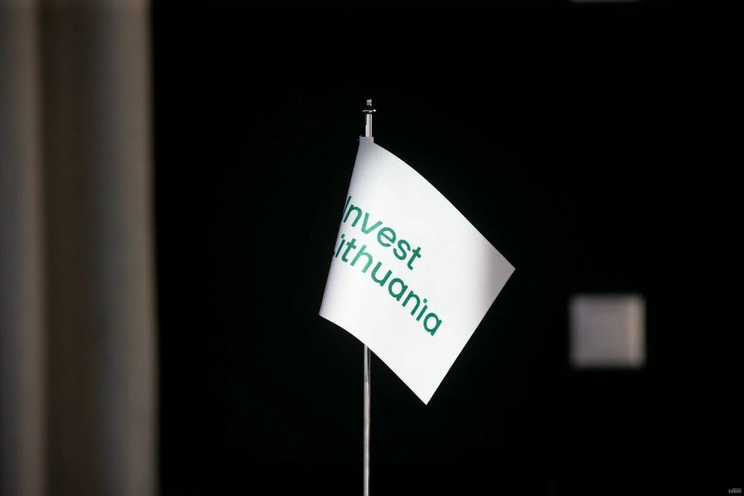 Juditos Grigelytės (VŽ) nuotr.