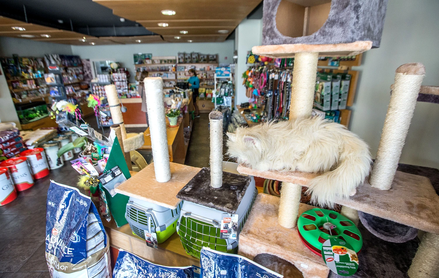 Anksčiau į vaistinę dažniausiai užsukdavo veterinarų, dabar – gyvūnais besirūpinančių šeimininkų. Juditos Grigelytės (VŽ) nuotr.