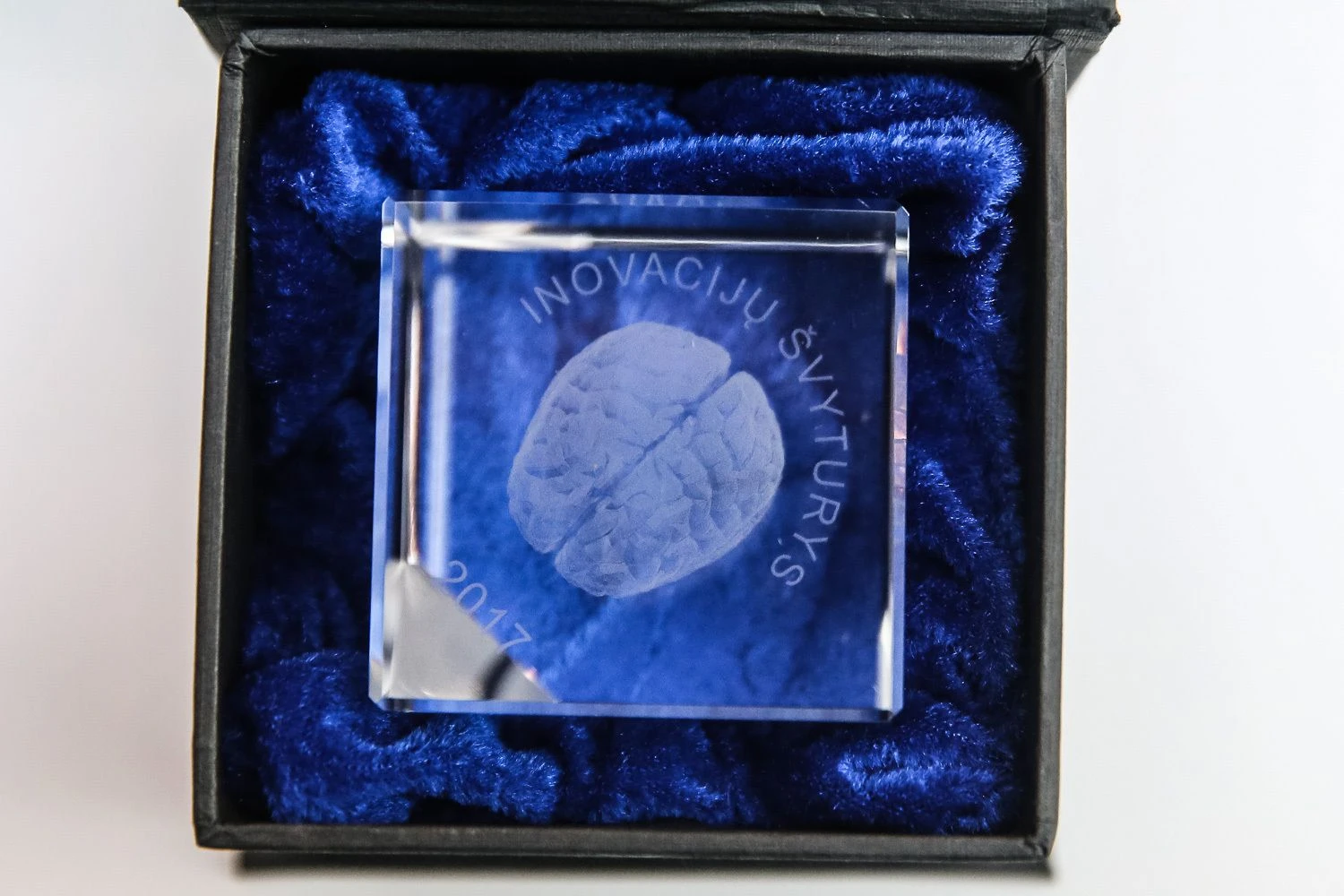 Žinių ekonomikos įmonių apdovanojimai. Vladimiro Ivanovo (VŽ) nuotr.