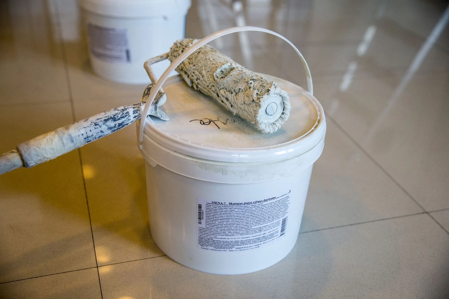 Vladimiro Ivanovo (VŽ) nuotr.