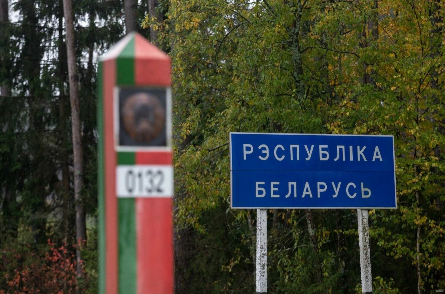 Juditos Grigelytės (VŽ) nuotr.