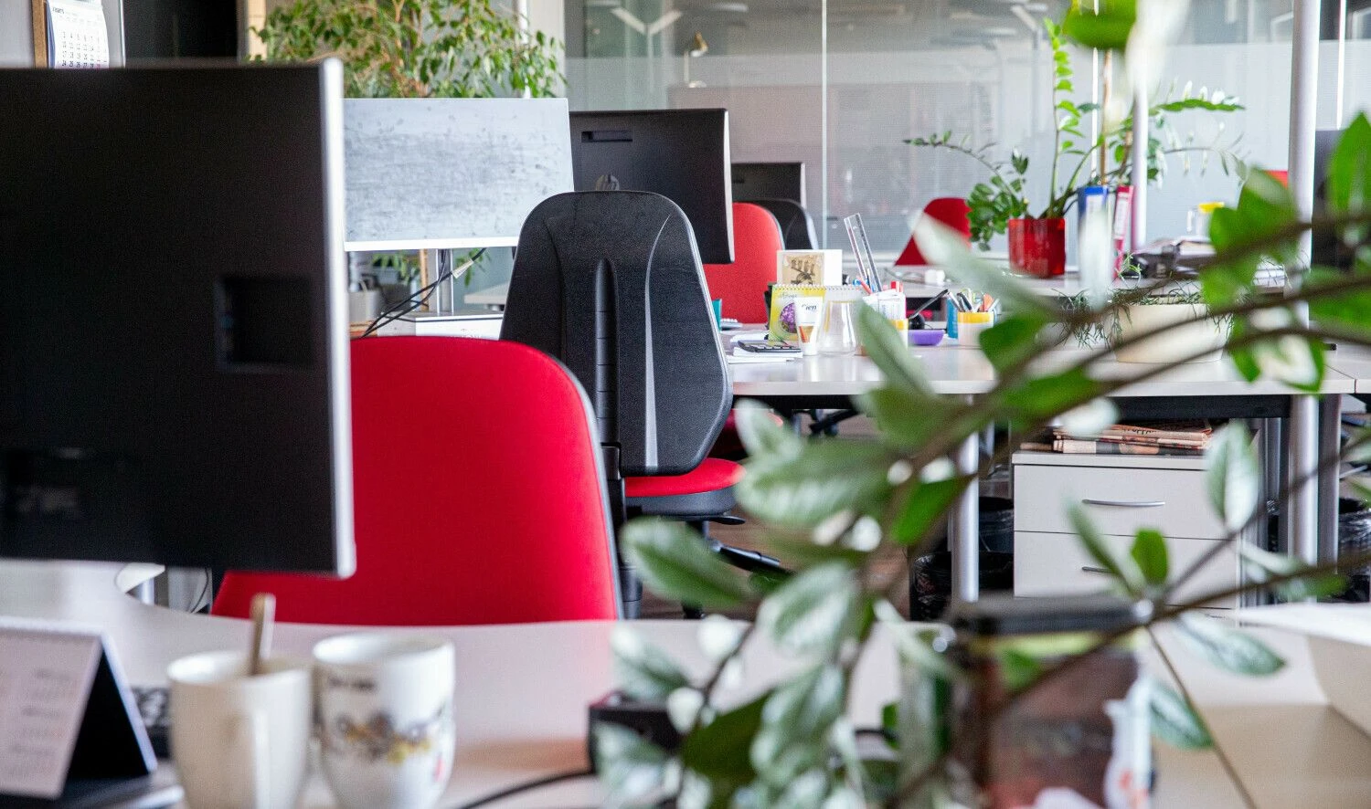 Juditos Grigelytės (VŽ) nuotr.