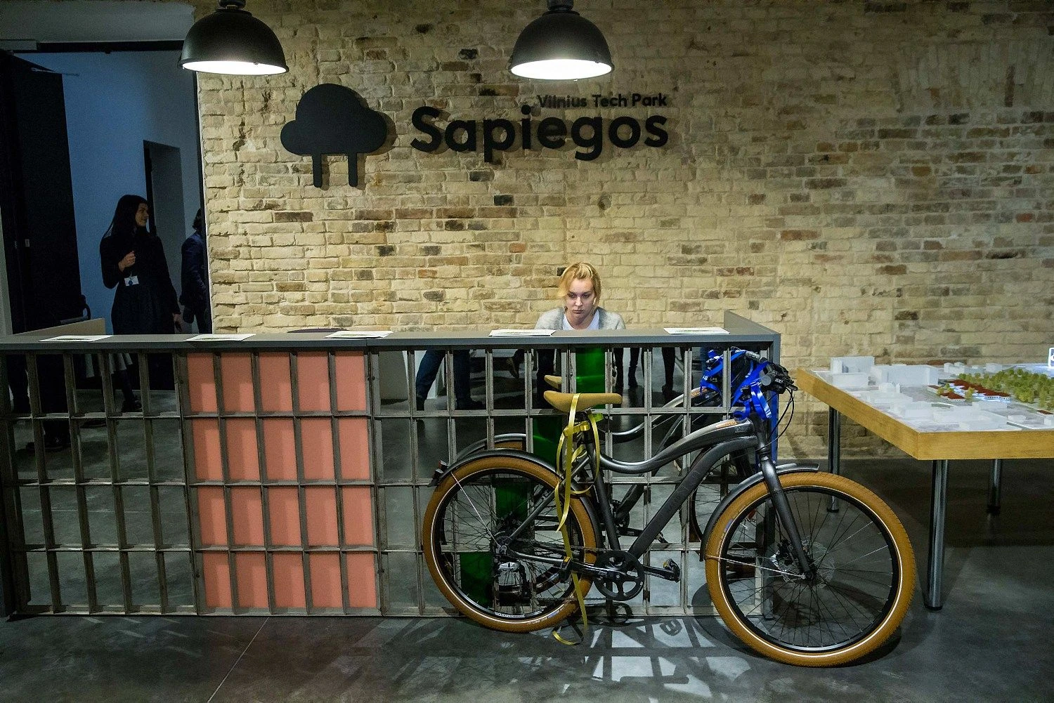 Vladimiro Ivanovo (VŽ) nuotr.