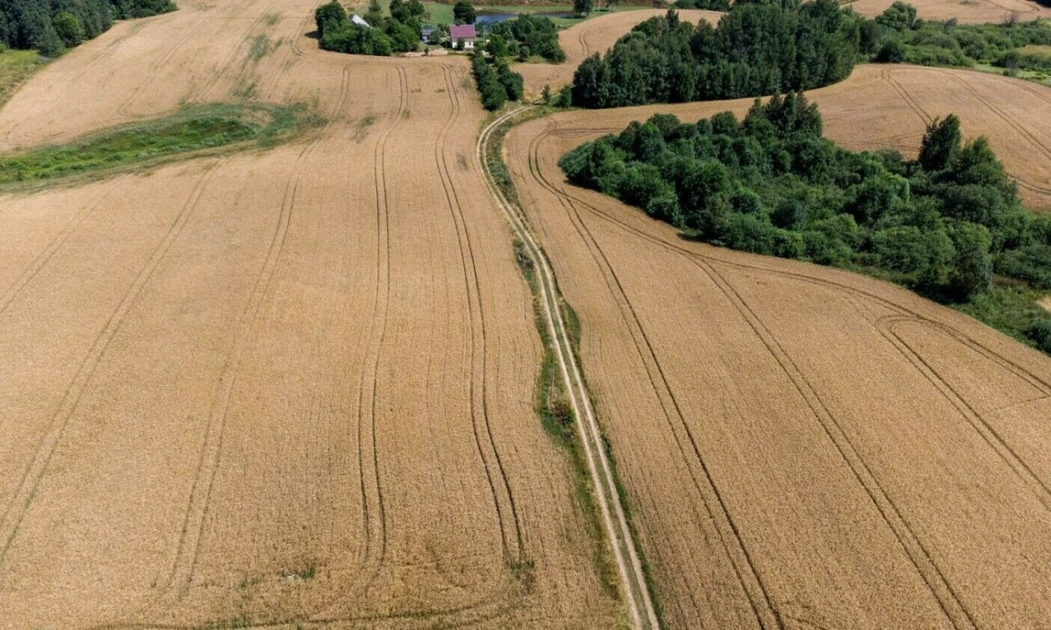 Vladimiro Ivanovo (VŽ) nuotr.