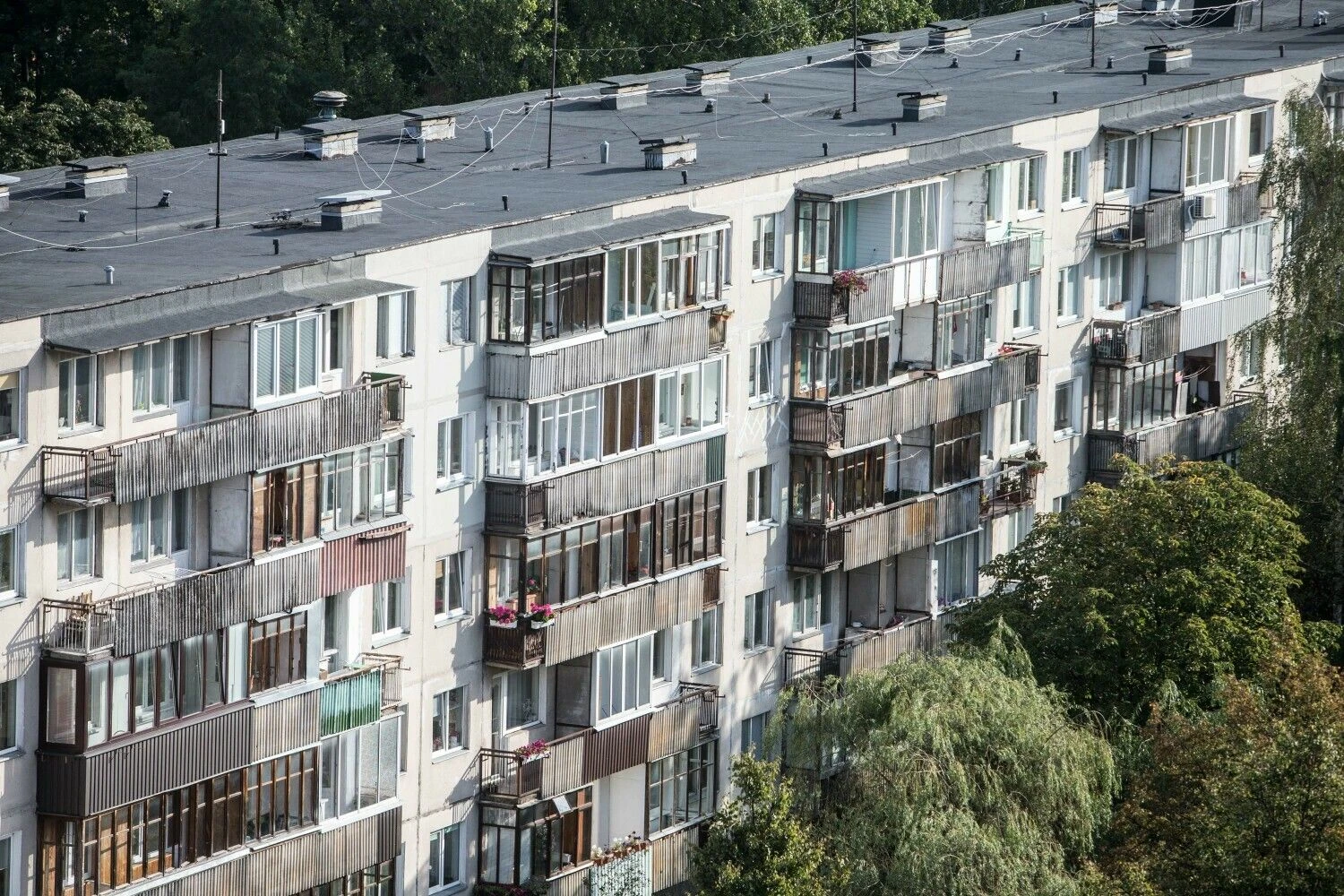 Juditos Grigelytės (VŽ) nuotr.