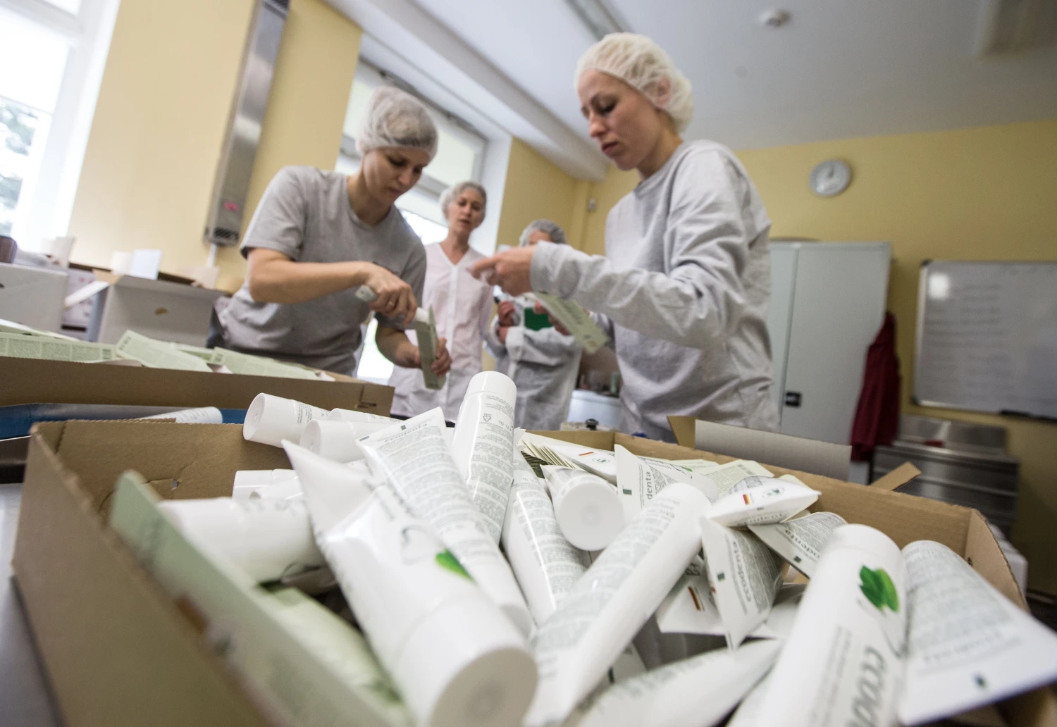 „BIOK laboratorija“ tikisi, kad netrukus Kinijos parduotuvių lentynose atsiras Lietuvoje pagamintos dantų pastos „Ecodent“. 
 Juditos Grigelytės (VŽ) nuotr.