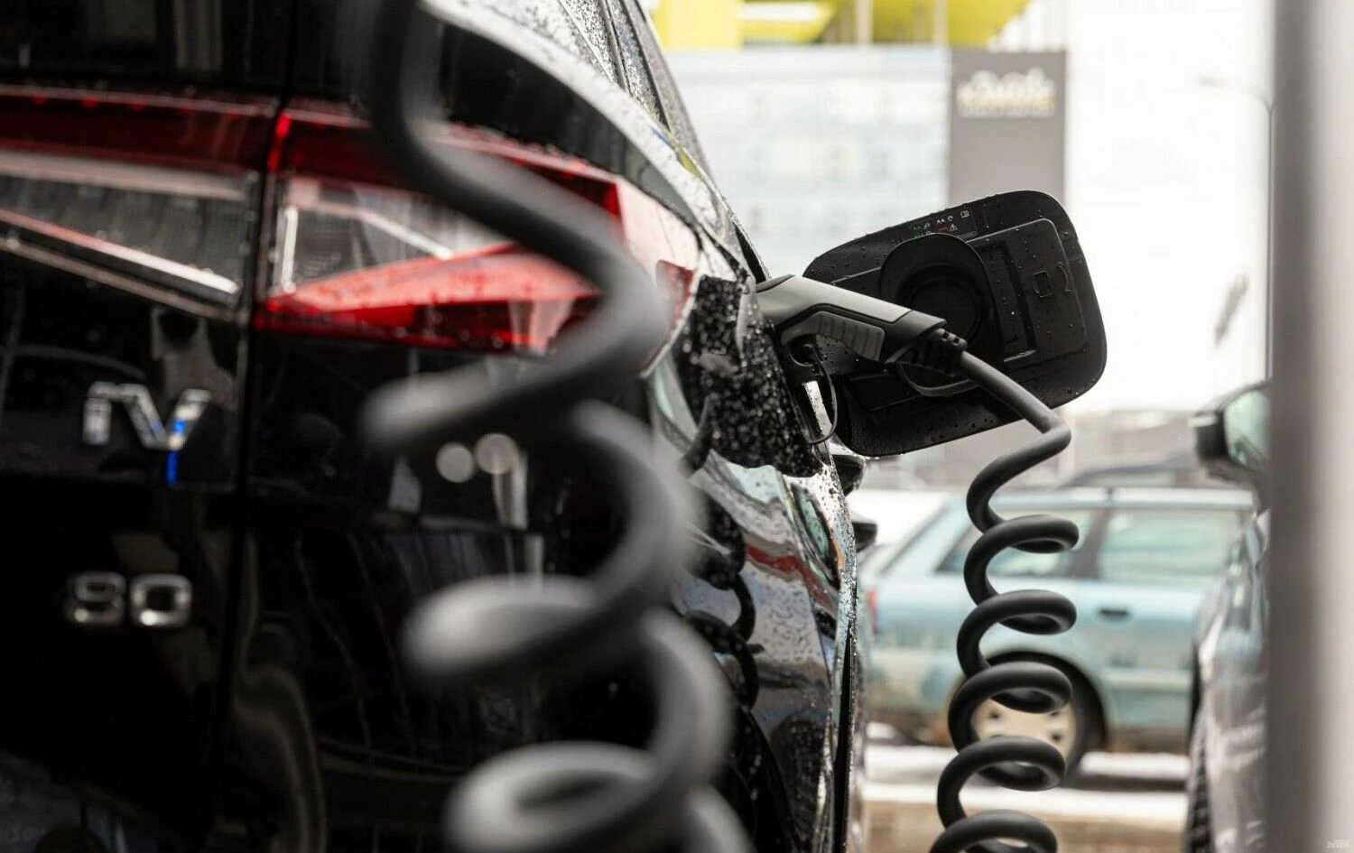 Juditos Grigelytės (VŽ) nuotr.