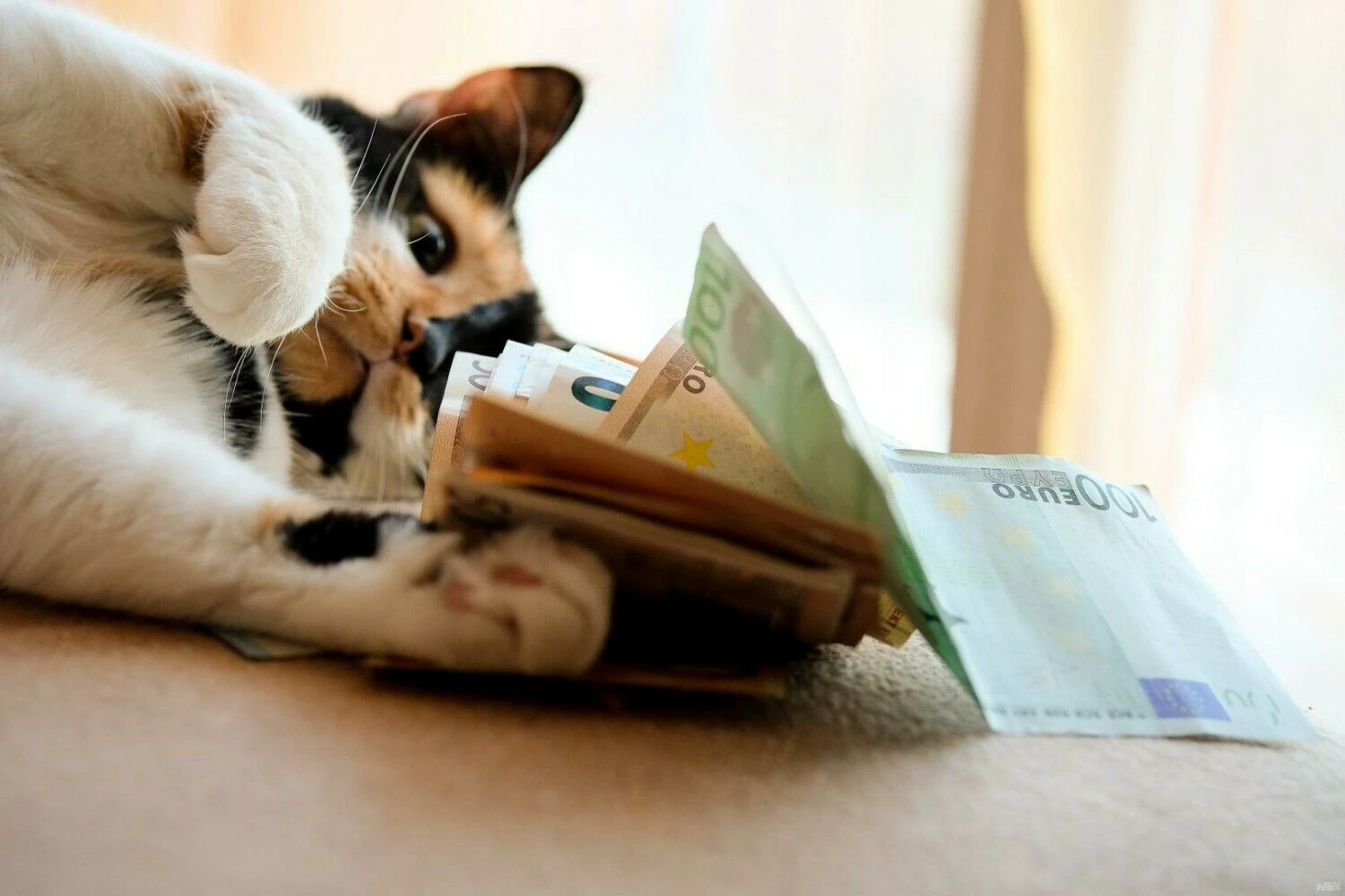 Vladimiro Ivanovo (VŽ) nuotr.