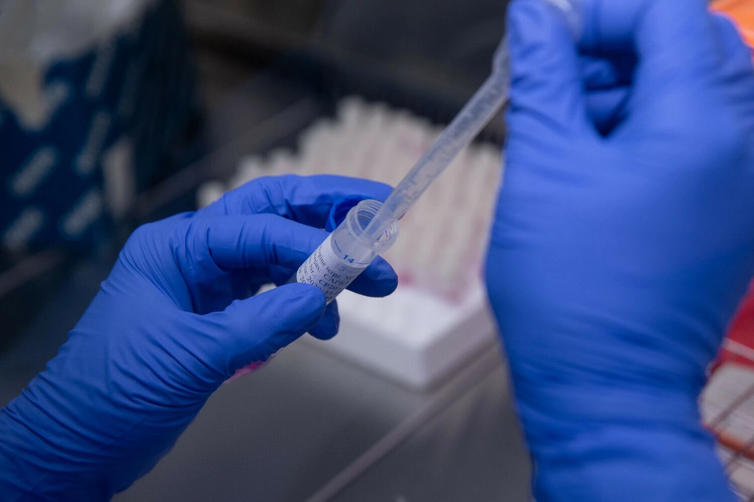 Vladimiro Ivanovo (VŽ) nuotr.