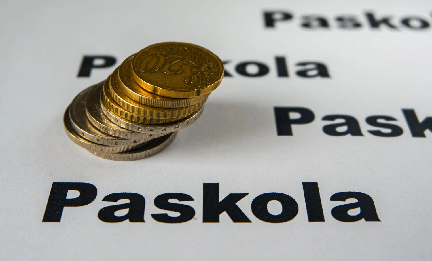 Juditos Grigelytės (VŽ) nuotr.