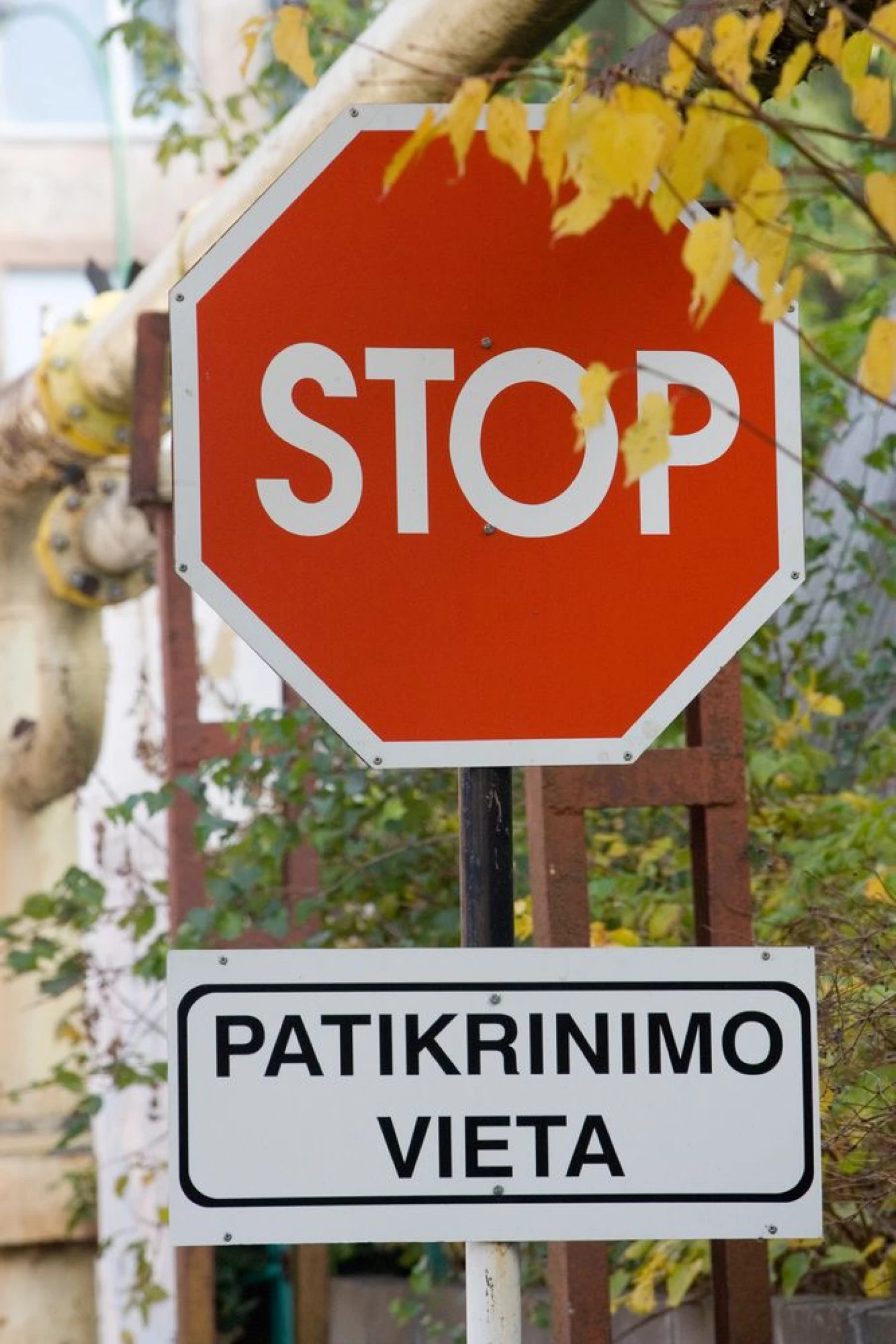 Vladimiro Ivanovo (VŽ) nuotr.