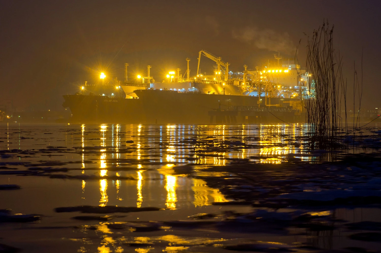 Algimanto Kalvaičio (VŽ) nuotr.