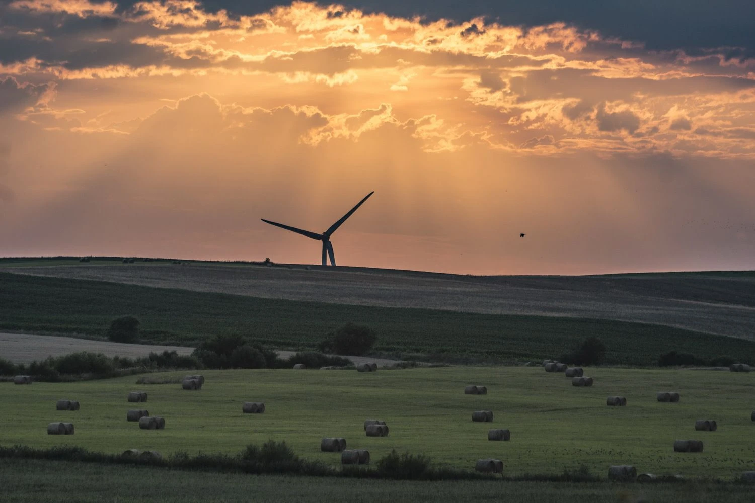 Vėjo jėgainių parkas „Pagėgiai 13“ . Už Vilkyškių link Pagėgių. Algimanto Kalvaičio nuotr.