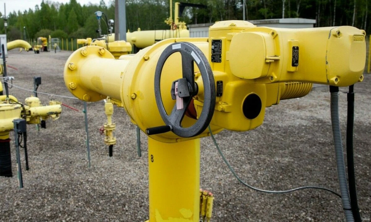 Juditos Grigelytės (VŽ) nuotr.