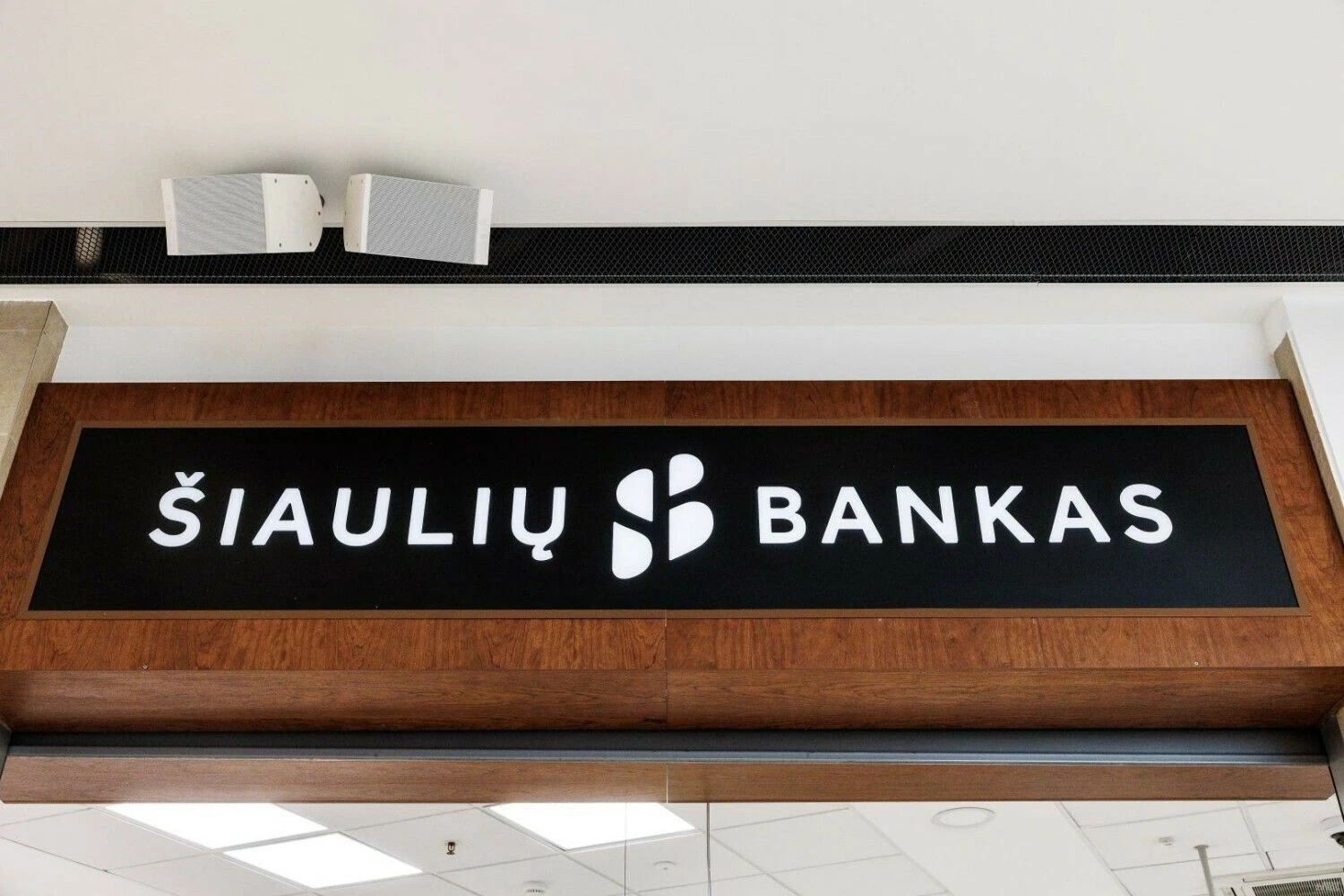 Vladimiro Ivanovo (VŽ) nuotr.