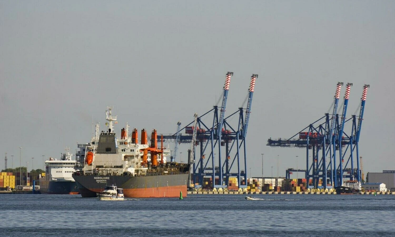 Algimanto Kalvaičio nuotr.