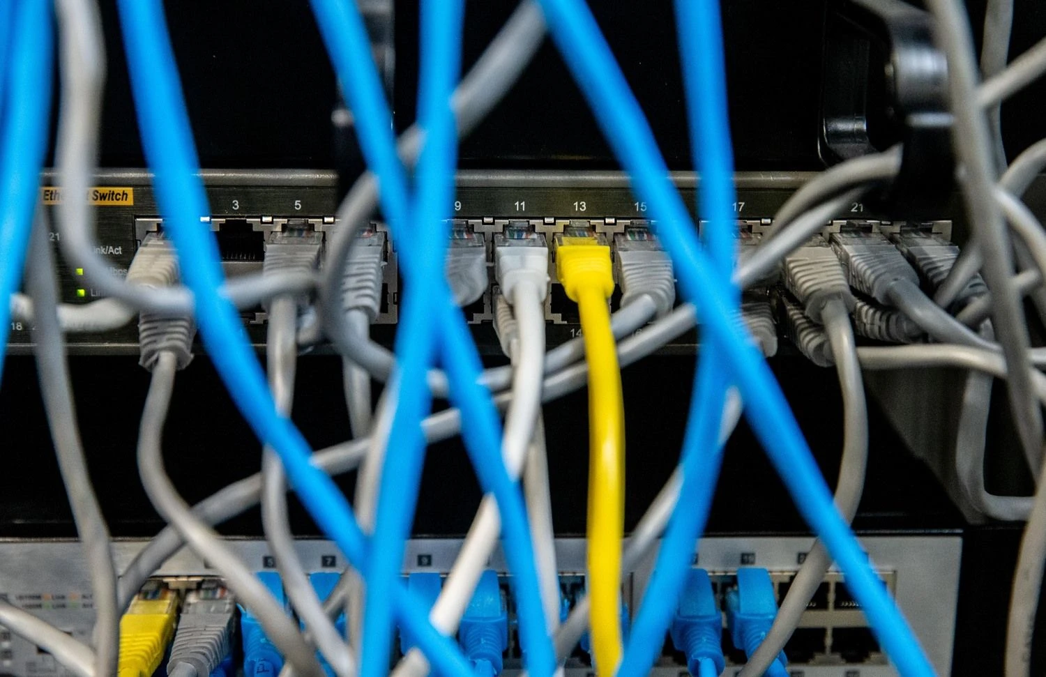 Juditos Grigelytės (VŽ) nuotr.