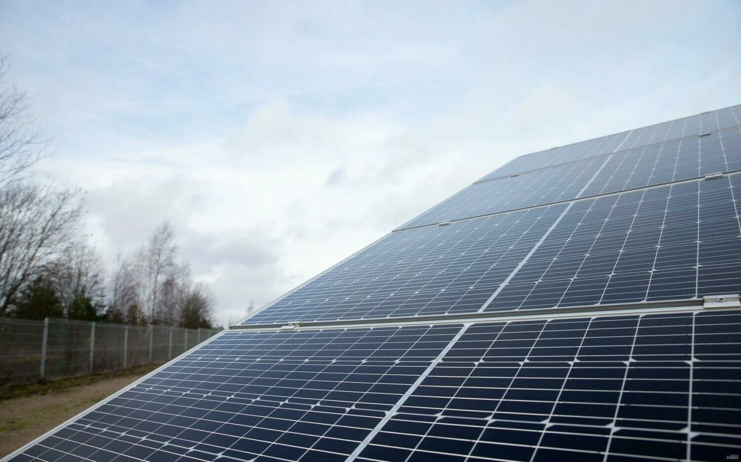 Juditos Grigelytės (VŽ) nuotr.