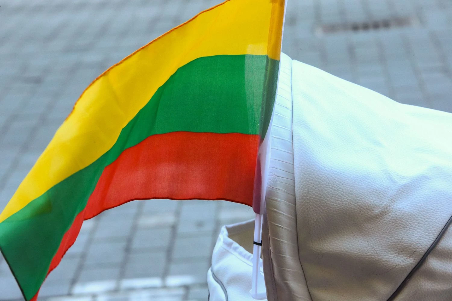 Vladimiro Ivanovo (VŽ) nuotr.