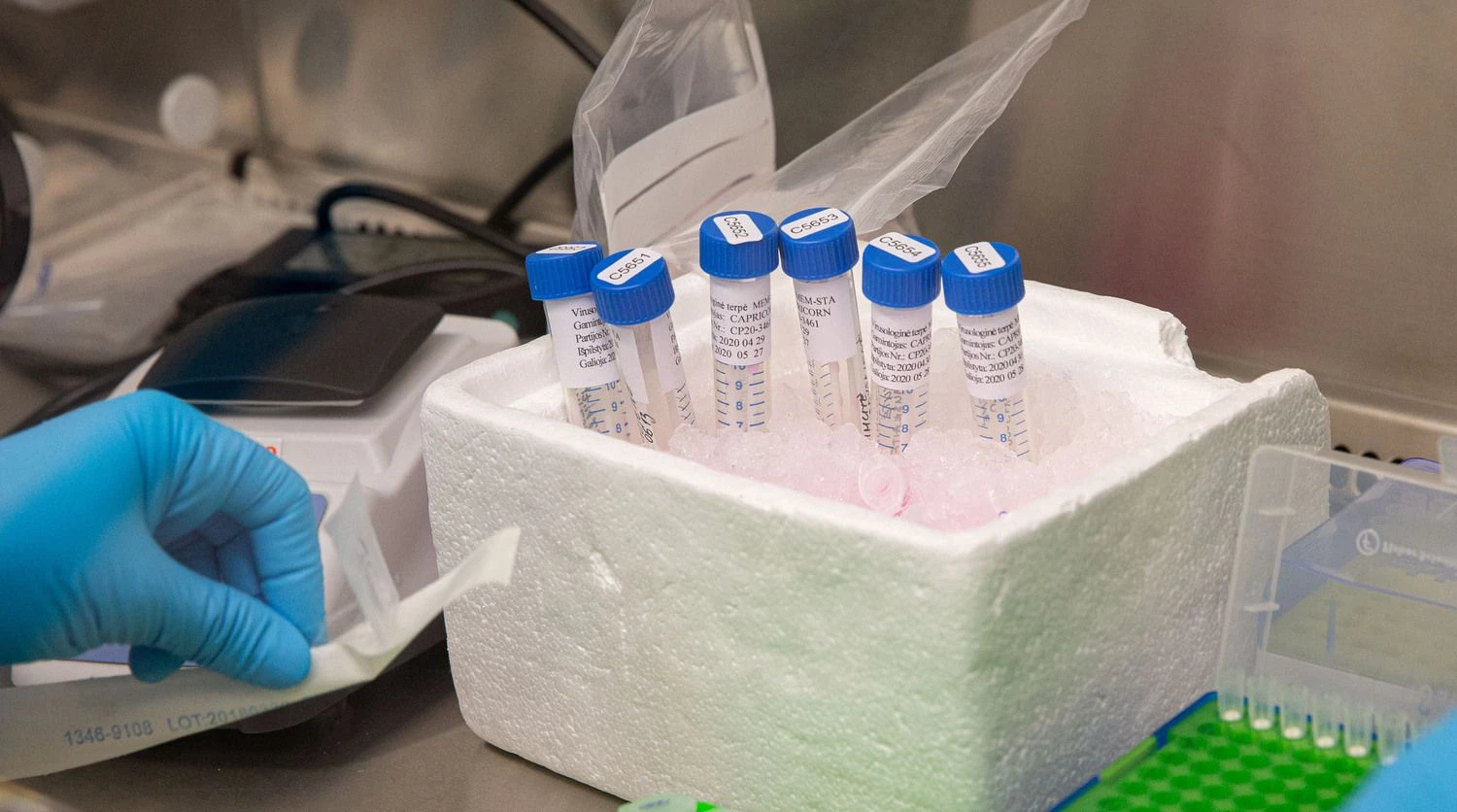 Tiriami COVID-19 mėginiai. Juditos Grigelytės (VŽ) nuotr.
