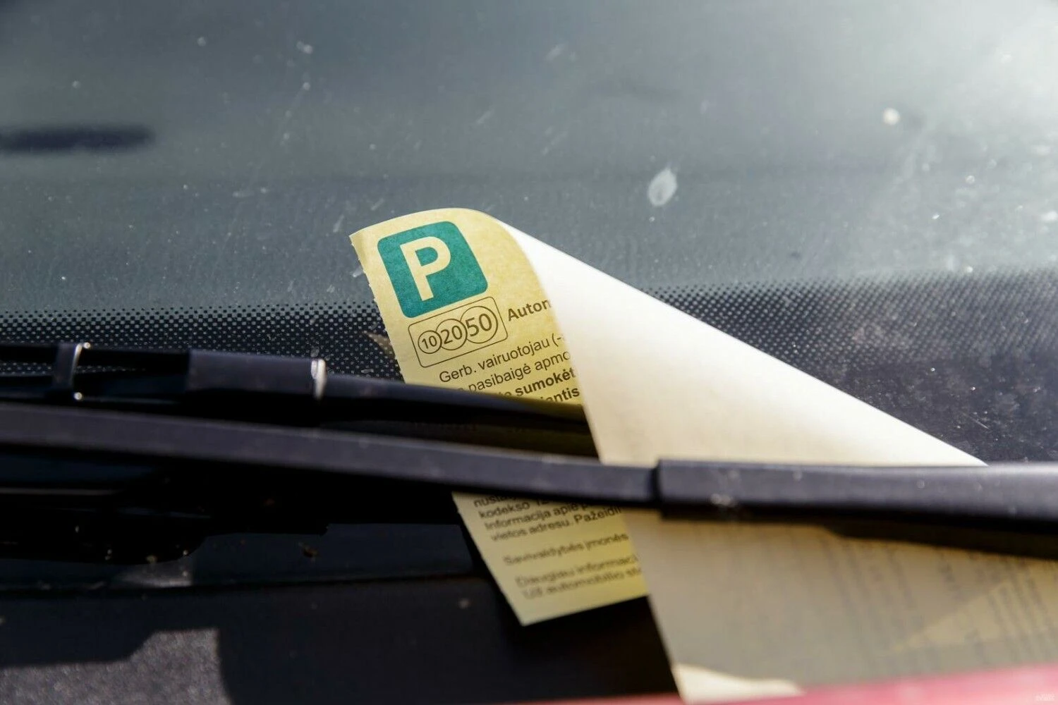 Vladimiro Ivanovo (VŽ) nuotr.