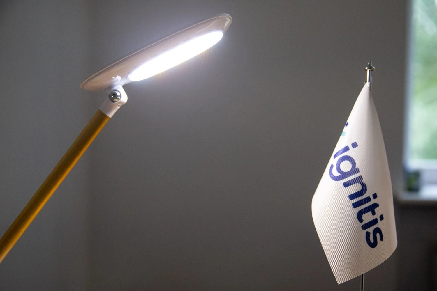 Vladimiro Ivanovo (VŽ) nuotr.