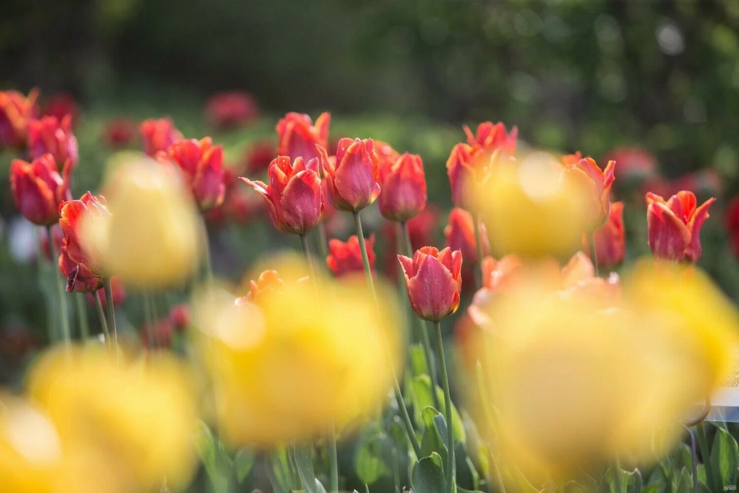 Juditos Grigelytės (VŽ) nuotr.
