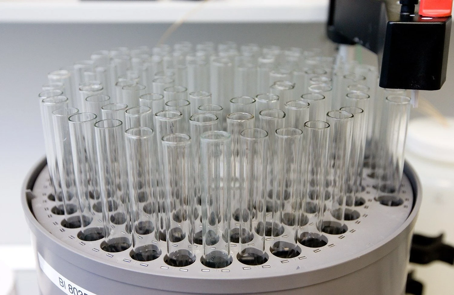 Juditos Grigelytės (VŽ) nuotr. 