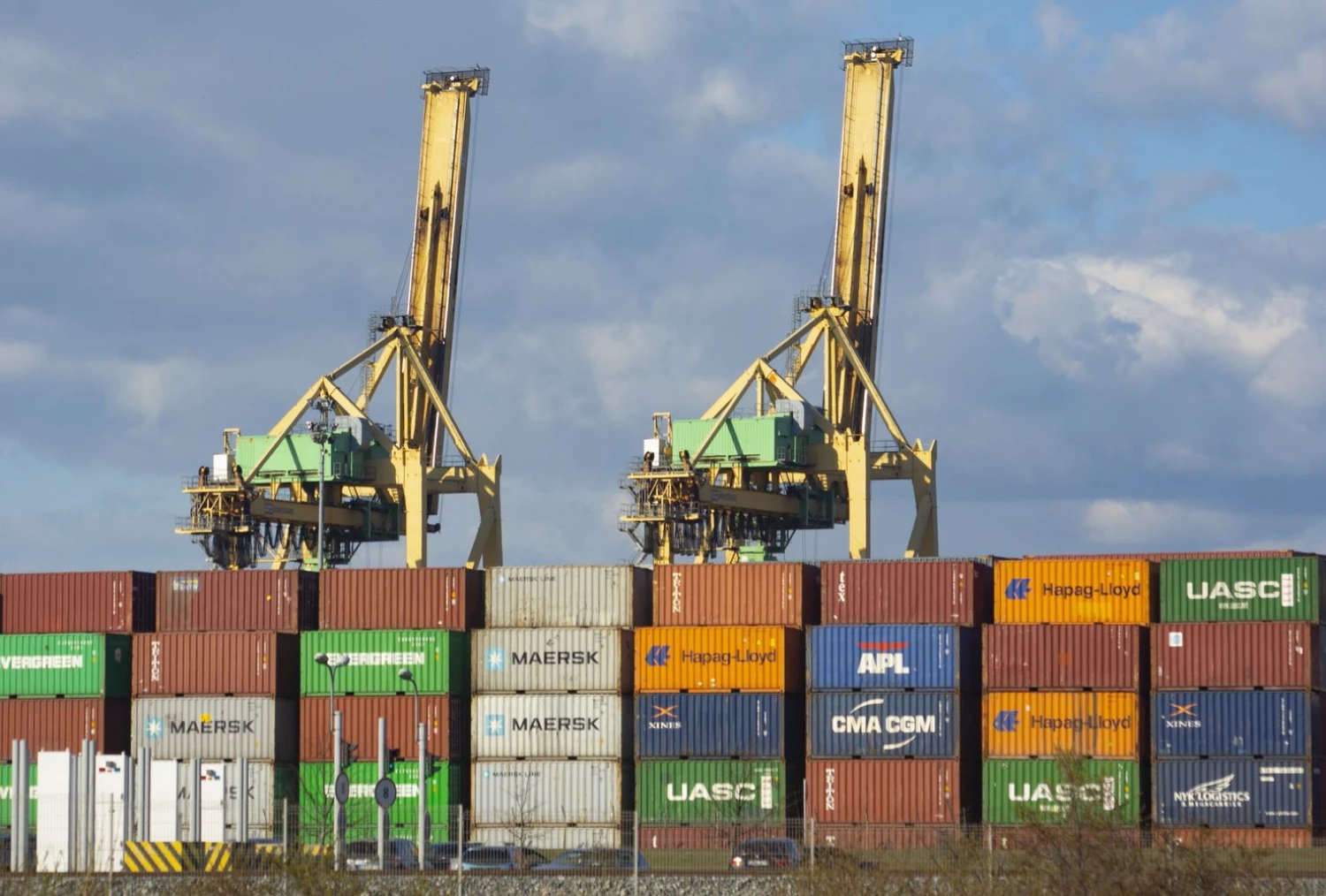 Algimanto Kalvaičio nuotr.