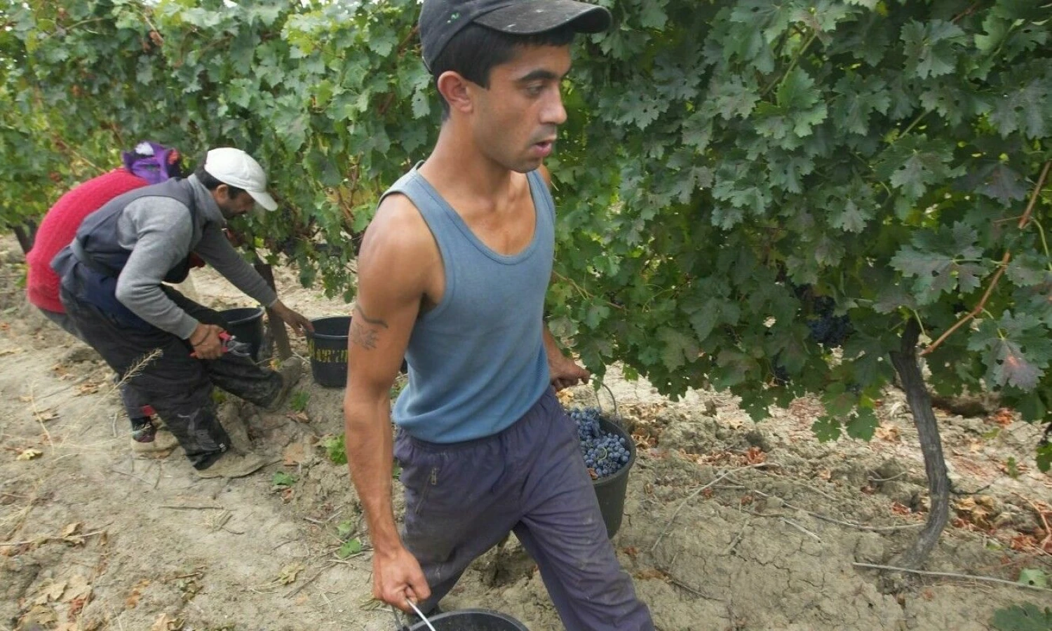 Vladimiro Ivanovo (VŽ) nuotr.