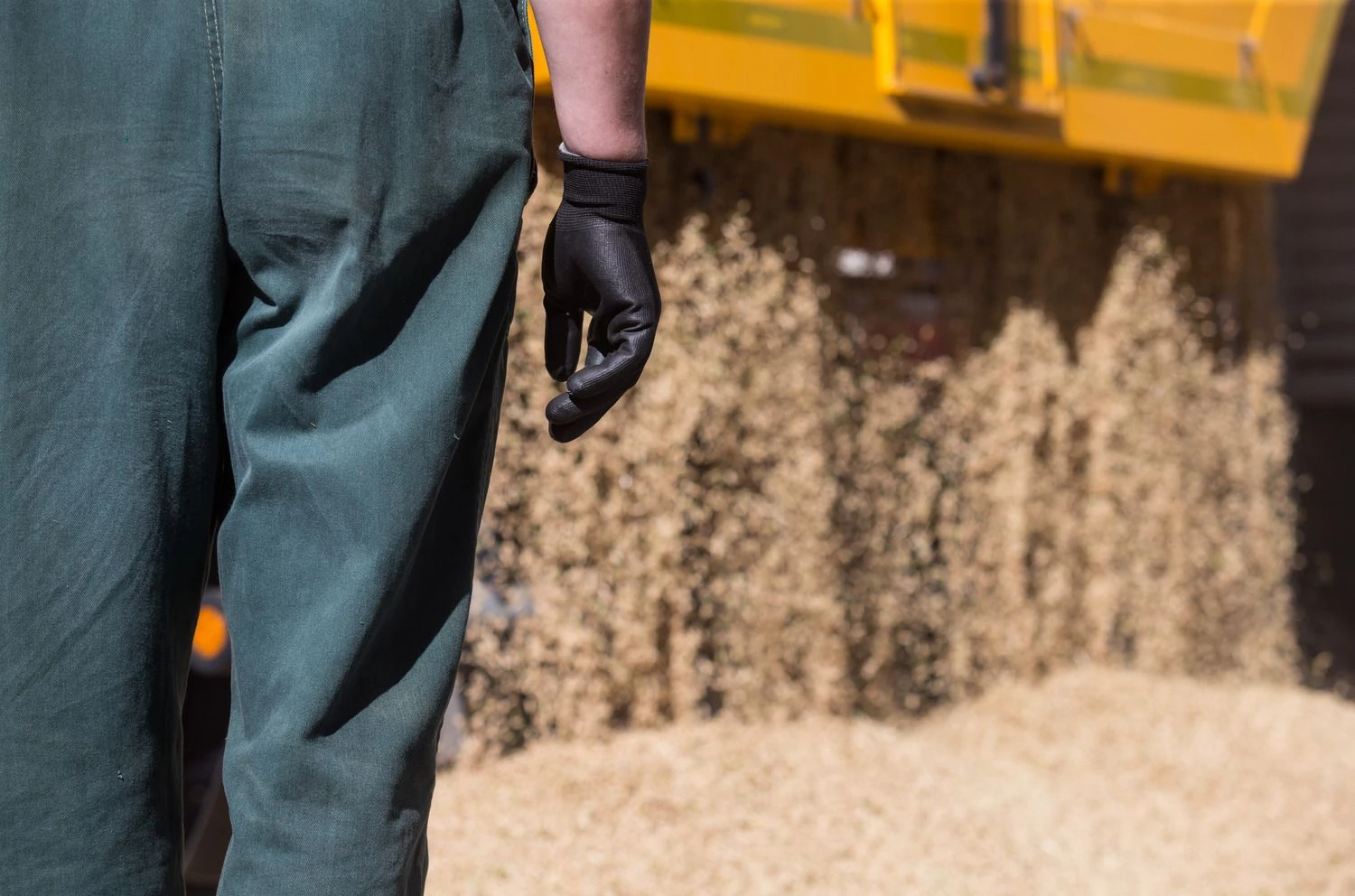 Juditos Grigelytės (VŽ) nuotr.