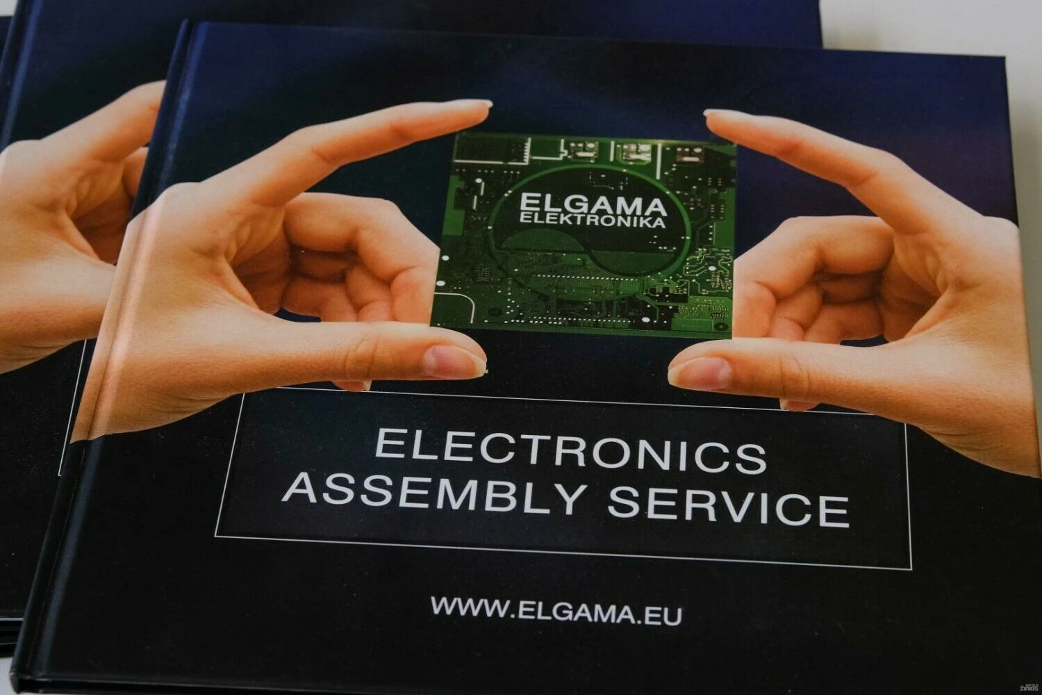 Vladimiro Ivanovo (VŽ) nuotr.