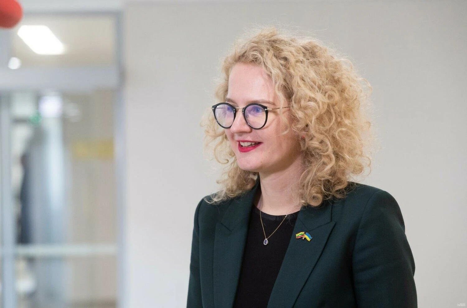 Aušrinė Armonaitė, ekonomikos ir inovacijų ministrė. Juditos Grigelytės (VŽ) nuotr.