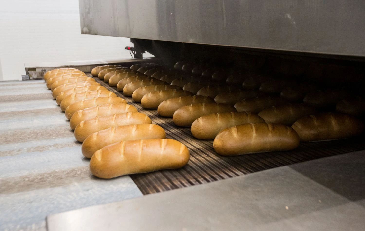 Juditos Grigelytės (VŽ) nuotr.