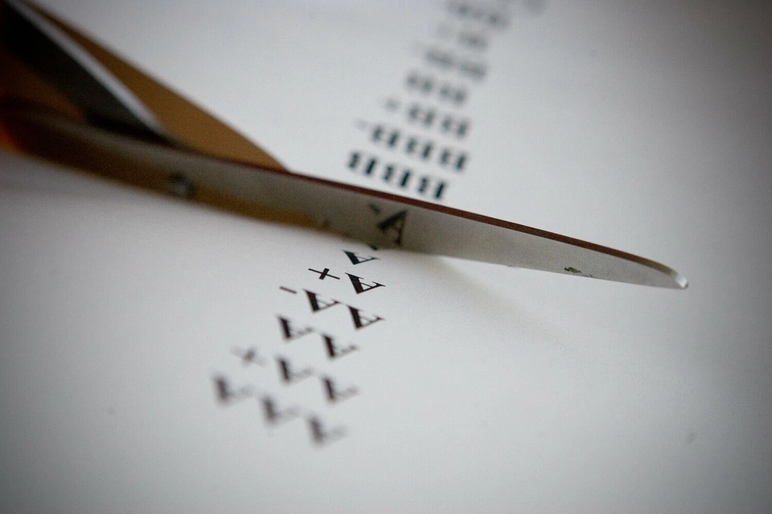 Vladimiro Ivanovo (VŽ) nuotr.