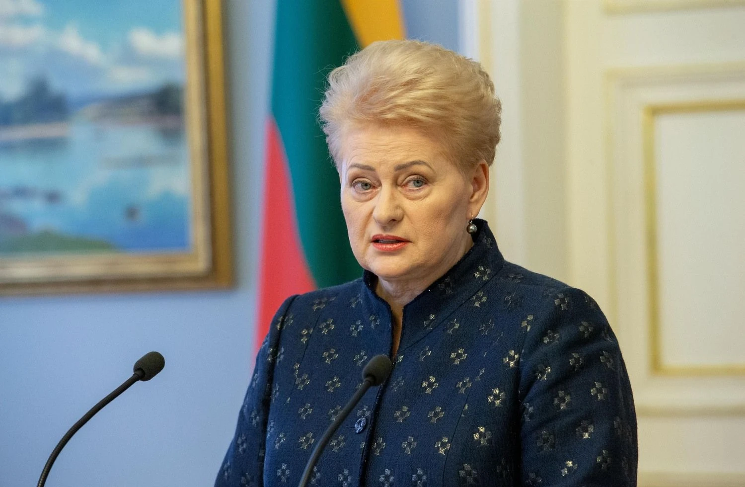 Prezidentė Dalia Grybauskaitė. Juditos Grigelytės (VŽ) nuotr.