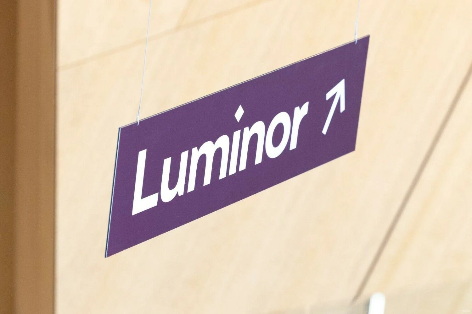 Juditos Grigelytės (VŽ) nuotr.